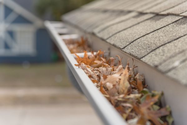 Leaf Barrier Installation in Decatur